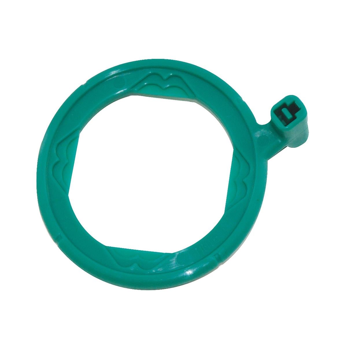 Rinn XCP Endo Aiming Ring Green